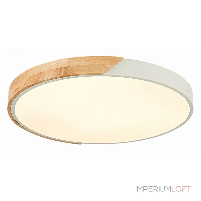 Потолочный светильник EVOLUCE Festa SLE200952-01 Потолочный светильник EVOLUCE Festa SLE200952-01