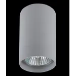 Накладной светильник Lightstar Rullo 214439 Цвет арматуры серый Цвет плафонов серый от ImperiumLoft