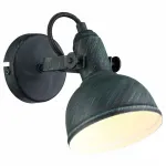 Спот Arte Lamp Martin A5213AP-1BG Цвет арматуры медь Цвет плафонов медь от ImperiumLoft