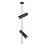 Светильник на штанге Maytoni Elti C021CL-02B Цвет арматуры черный Цвет плафонов черный от ImperiumLoft