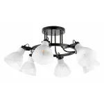 Потолочная люстра Lightstar Acrobata 761060 