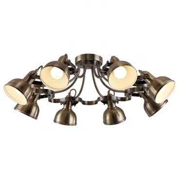 Потолочная люстра Arte Lamp Martin A5216PL-8AB 