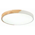 Потолочный светильник EVOLUCE Festa SLE200952-01 