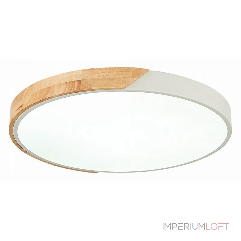 Потолочный светильник EVOLUCE Festa SLE200952-01 Потолочный светильник EVOLUCE Festa SLE200952-01