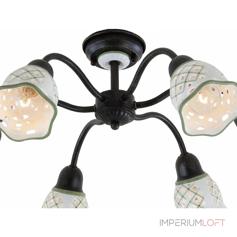 Потолочная люстра Citilux Ажур CL534162 