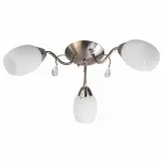 Потолочная люстра TopLight Paula TL3550X-03SN 