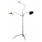 Торшер ST-Luce Spruzzo SL305.405.03 от ImperiumLoft