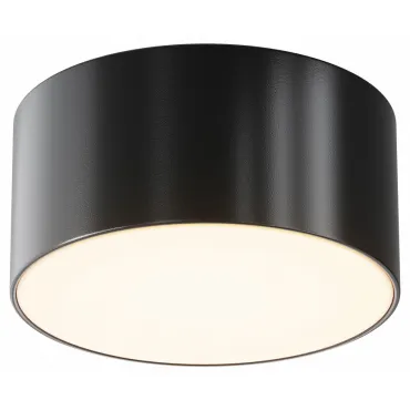 Потолочный светильник Outdoor O430CL-L15B3K