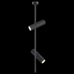 Светильник на штанге Maytoni Elti C021CL-02B Цвет арматуры черный Цвет плафонов черный от ImperiumLoft