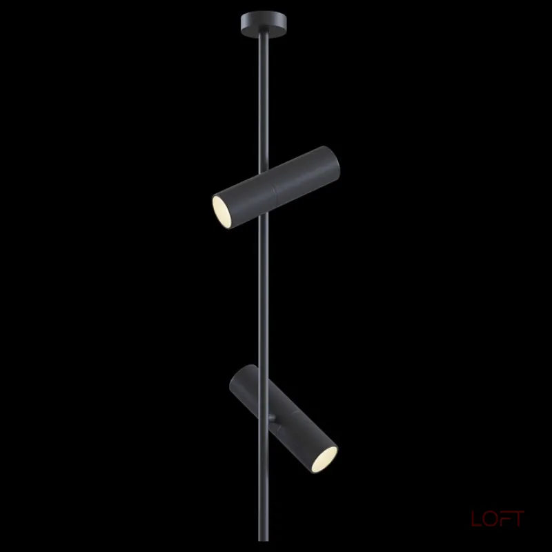 Светильник на штанге Maytoni Elti C021CL-02B Цвет арматуры черный Цвет плафонов черный от ImperiumLoft