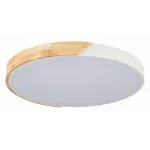 Потолочный светильник EVOLUCE Festa SLE200952-01 