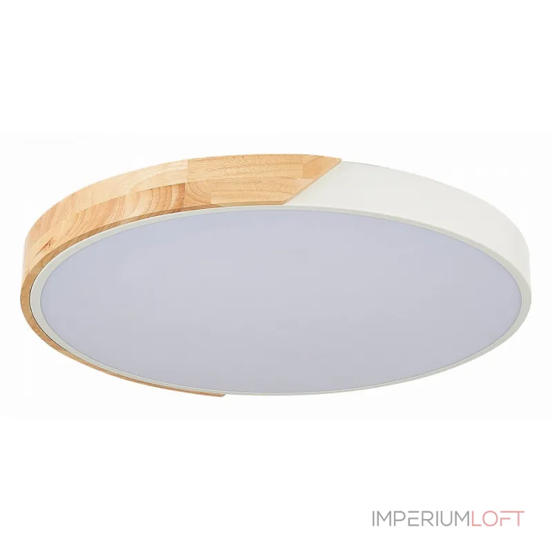 Потолочный светильник EVOLUCE Festa SLE200952-01 Потолочный светильник EVOLUCE Festa SLE200952-01