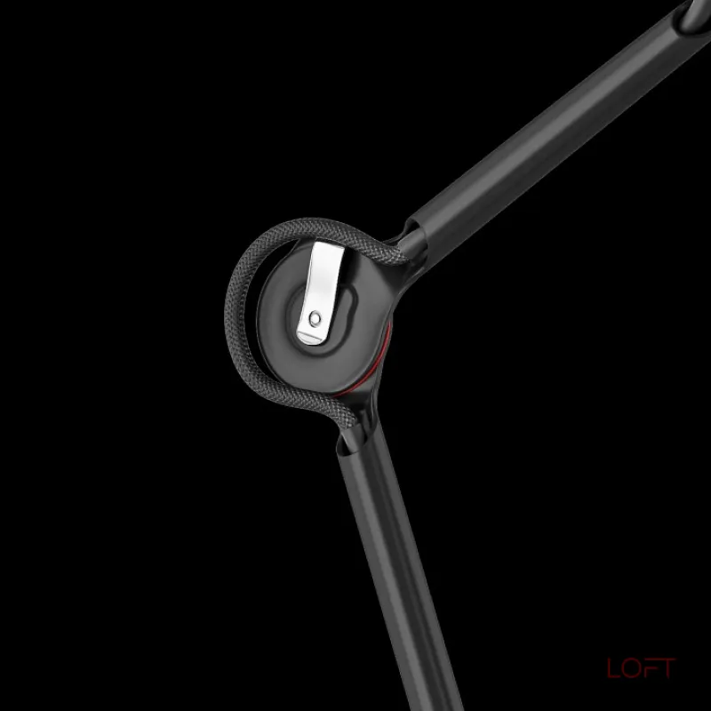 Настольная лампа офисная Lightstar Loft 765917 Цвет арматуры черный Цвет плафонов черный от ImperiumLoft