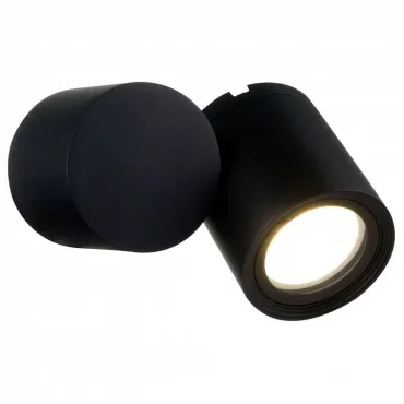 Настенный светильник (бра) Outdoor O010WL-01B