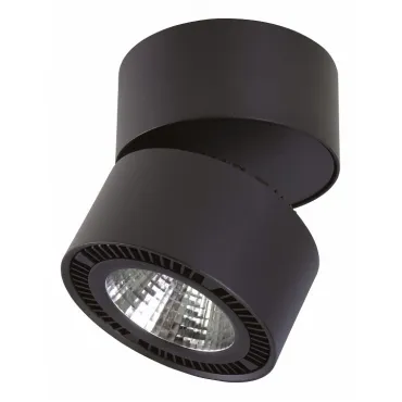 Светильник на штанге Lightstar Forte Muro 214837