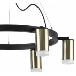 Подвесная люстра Lightstar Rullo LR0163160