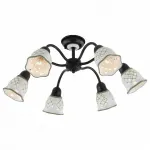 Потолочная люстра Citilux Ажур CL534162 