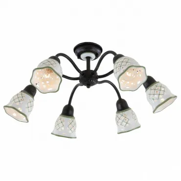 Потолочная люстра Citilux Ажур CL534162 