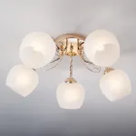 Потолочная люстра 30138/5