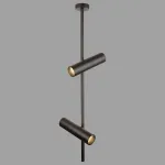 Светильник на штанге Maytoni Elti C021CL-02B Цвет арматуры черный Цвет плафонов черный от ImperiumLoft