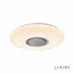 Накладной светильник iLedex Sphere ZN-XU48XD-GSR-YK от ImperiumLoft