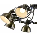 Потолочная люстра Arte Lamp Martin A5216PL-8AB 