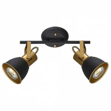 Спот Arte Lamp Jovi A1677PL-2GO