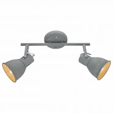 Спот Arte Lamp 1677 A1677PL-2GY Цвет арматуры серый Цвет плафонов серый