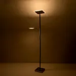 Торшер с подсветкой Citilux Харди CL802011 от ImperiumLoft