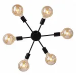 Потолочная люстра EVOLUCE Ano SL419.402.06 