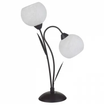 Настольная лампа декоративная Lussole Bagheria GRLSF-6294-02