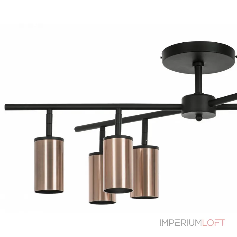 Потолочная люстра Lightstar Rullo LR728308