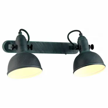 Спот Arte Lamp Martin A5213AP-2BG Цвет арматуры медь Цвет плафонов медь
