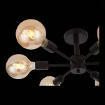 Потолочная люстра EVOLUCE Ano SL419.402.06 