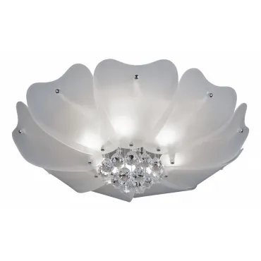 Потолочный светильник Lightstar Lobo 804020 
