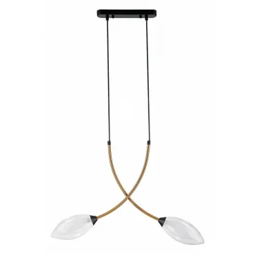 Подвесной светильник Indigo Fiore 13001/2P Black Подвесной светильник Indigo Fiore 13001/2P Black