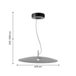 Подвесной светильник Favourite Lars 4412-1P