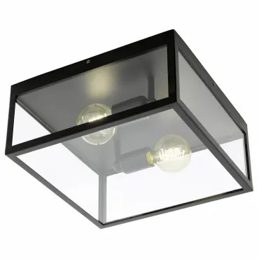 Накладной светильник Eglo Charterhouse 49392 Цвет арматуры черный Цвет плафонов прозрачный