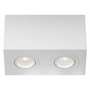 Потолочный светильник Technical C017CL-02W