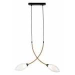 Подвесной светильник Indigo Fiore 13001/2P Black от ImperiumLoft