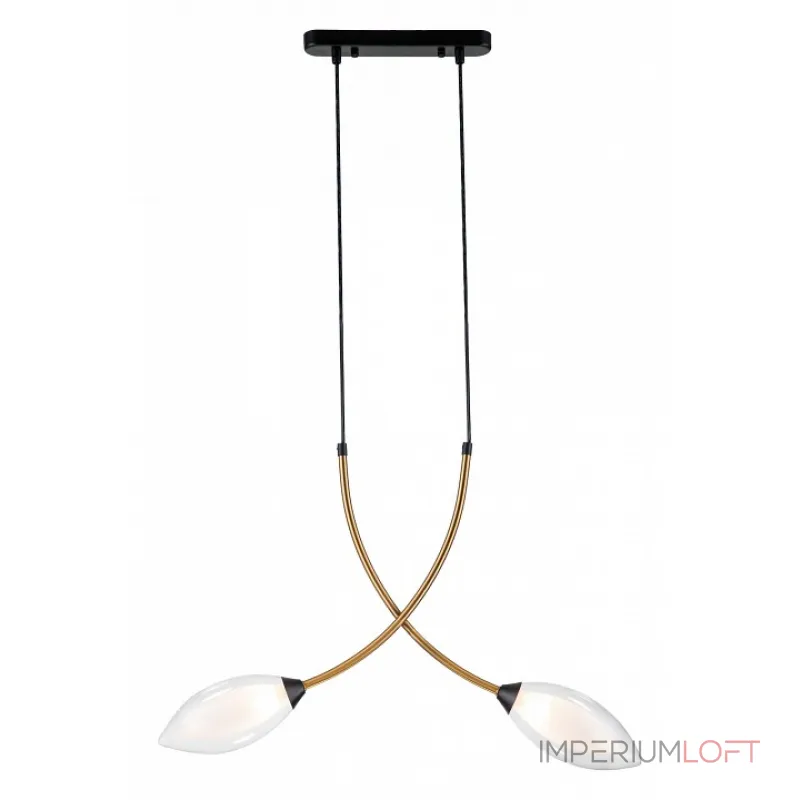 Подвесной светильник Indigo Fiore 13001/2P Black от ImperiumLoft