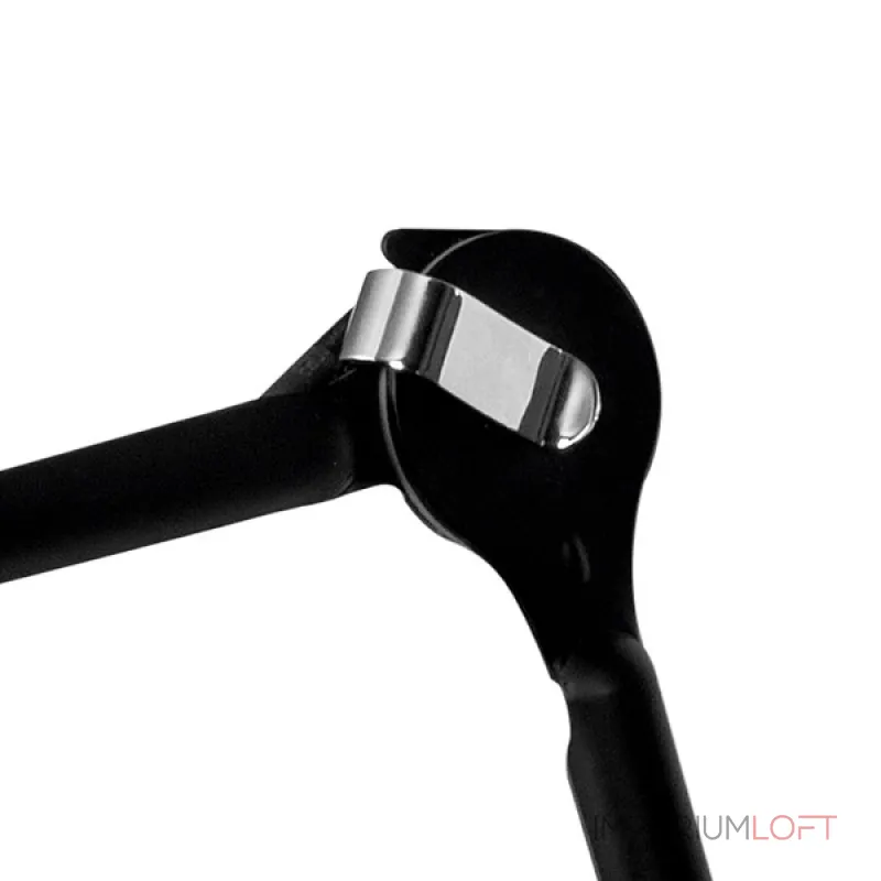 Бра Lightstar Loft 765617 Цвет арматуры черный Цвет плафонов черный от ImperiumLoft