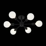 Потолочная люстра EVOLUCE Ano SL419.402.06 