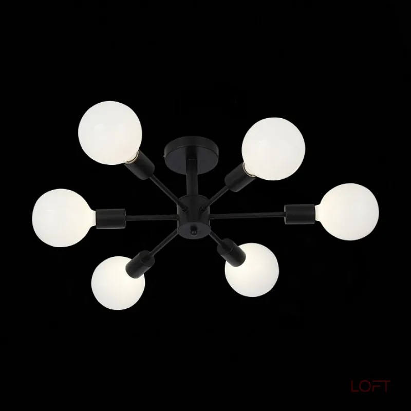 Потолочная люстра EVOLUCE Ano SL419.402.06 