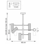 Люстра на штанге Lightstar Roma 718263
