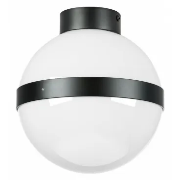 Накладной светильник Lightstar Globo 812117 Цвет арматуры черный Цвет плафонов черно-белый Накладной светильник Lightstar Globo 812117 Цвет арматуры черный Цвет плафонов черно-белый
