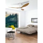 Потолочный светильник с вентилятором Eglo ПРОМО Antibes 35071