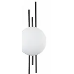 Накладной светильник Indigo Astro 14007/1W Black от ImperiumLoft