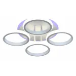 Потолочная люстра Rivoli Irmtrud Б0052395