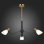 Люстра на штанге EVOLUCE Lita SLE205403-03